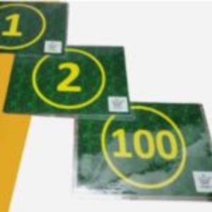 Number Cards 1-100
