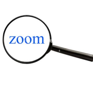 Zoom Activity